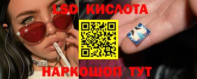 крисы Пенза