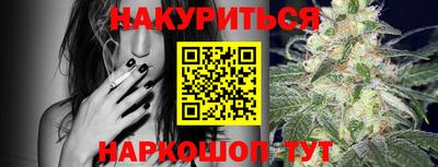 крисы Пенза