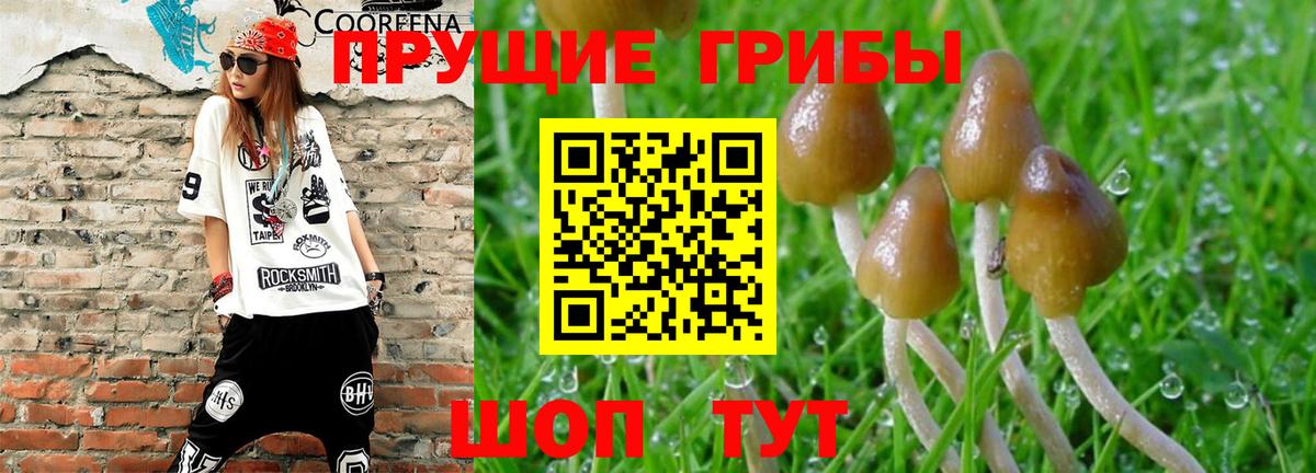 Галлюциногенные грибы ЛСД Таганрог